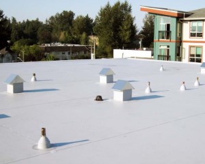 tpo-roofing-systems